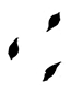parallax hojas
