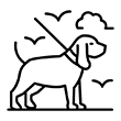 Area niños olisea